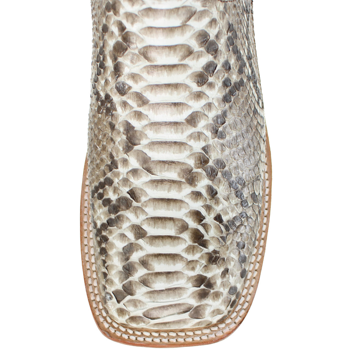 1010-NATURAL-PYTHON-EXOTIC