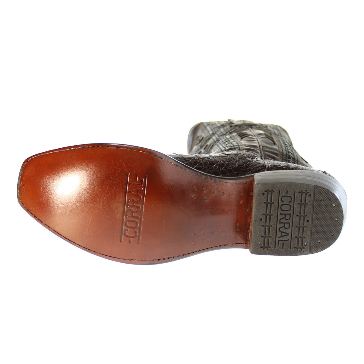 A3471-CHOC-FUSCUS-SQR