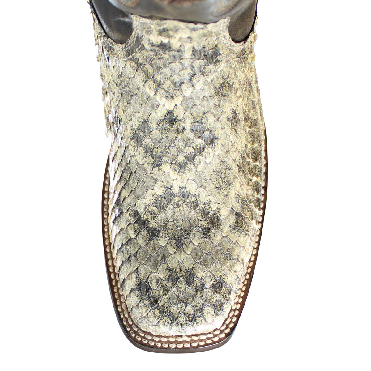 A3486-NAT-RATTLE-SNAKE