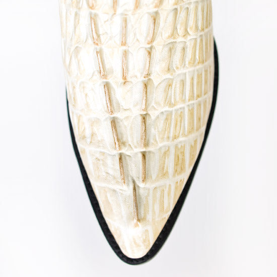 BONE-GATOR-PRNT-BOTIN