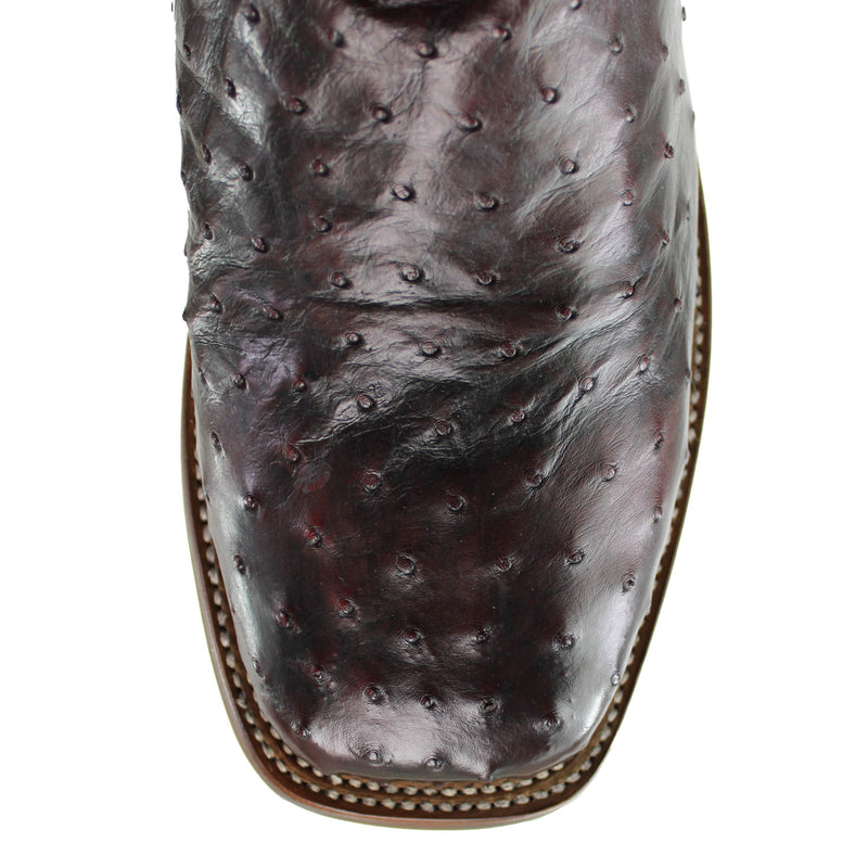 DP5012-BLKCHERRY-OST