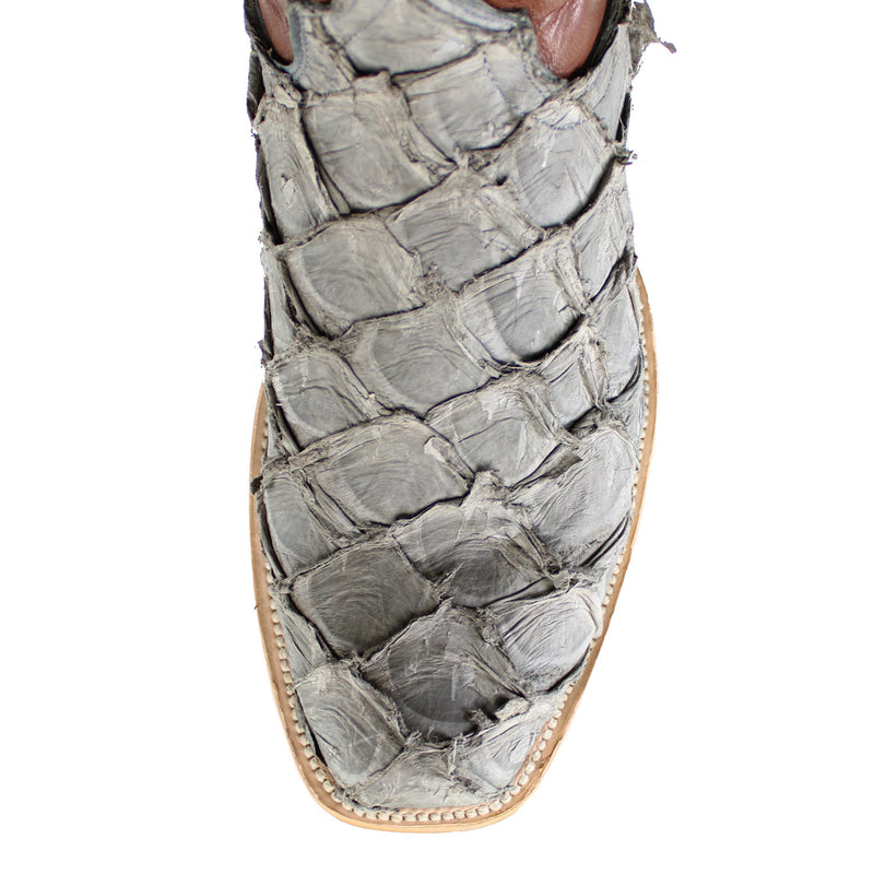 DP5022-GEY-PIRARUCCU