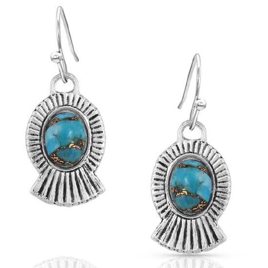 Er4982-Tq-Earrings