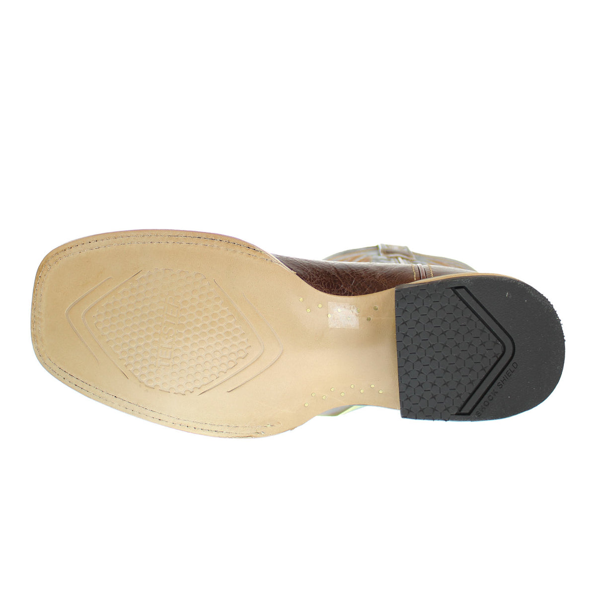 10061301-GINGERSNAP-SIDEWINDER