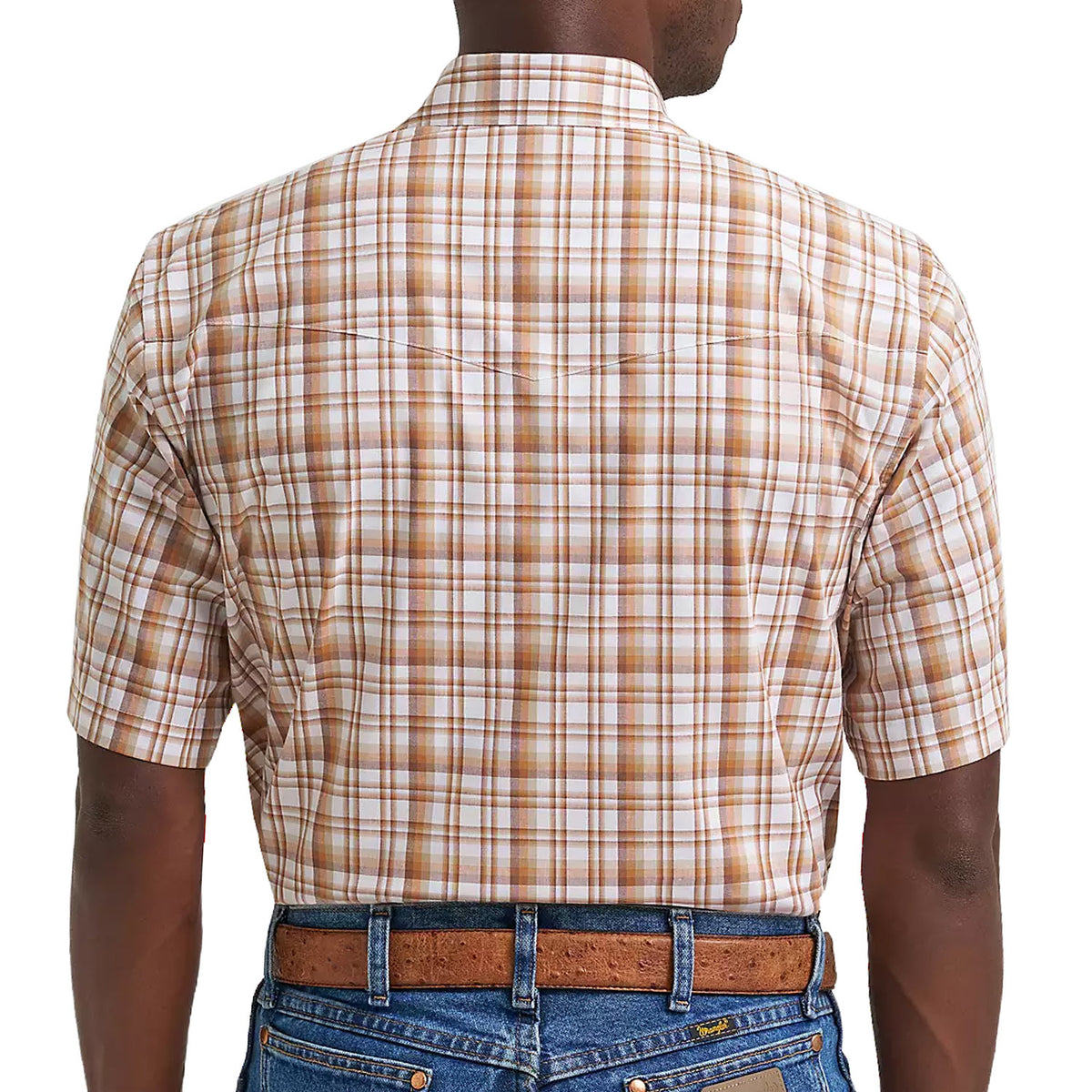 112374892-HAY-BRN-PLAID-S-S