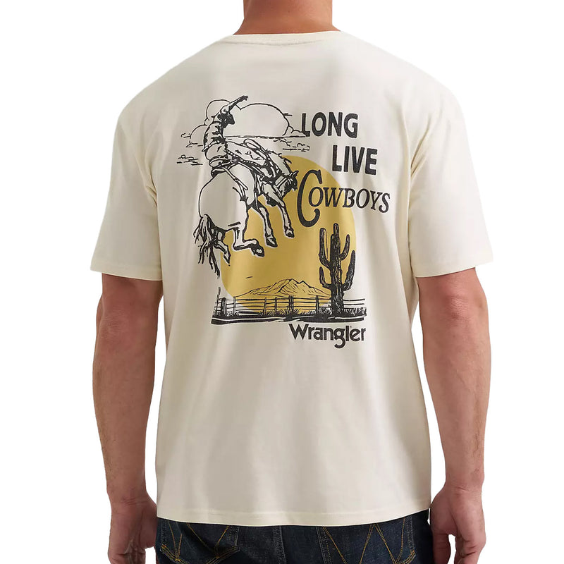 112380262-VINTAGE-ANTIQUE-WHT