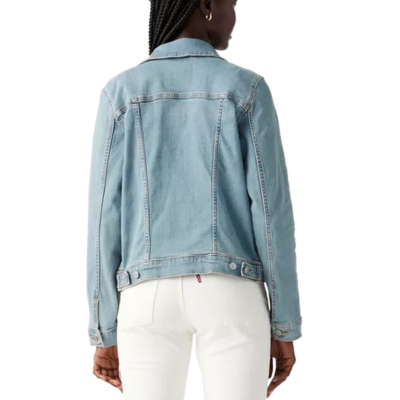 29945-0012-MED-INDIGO-TRUCKER