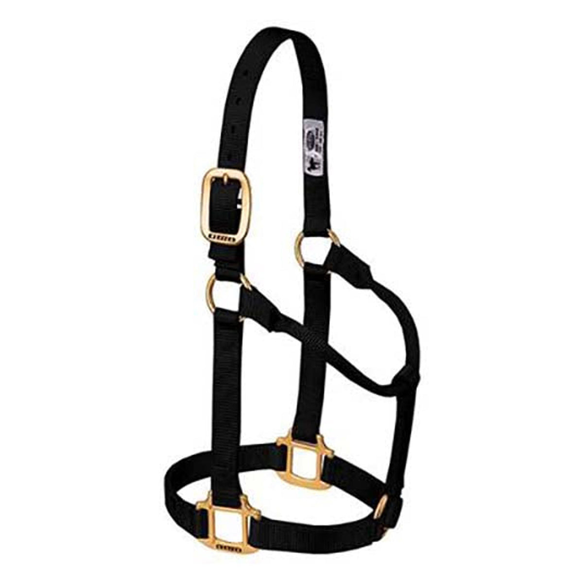 35-7004-HALTER