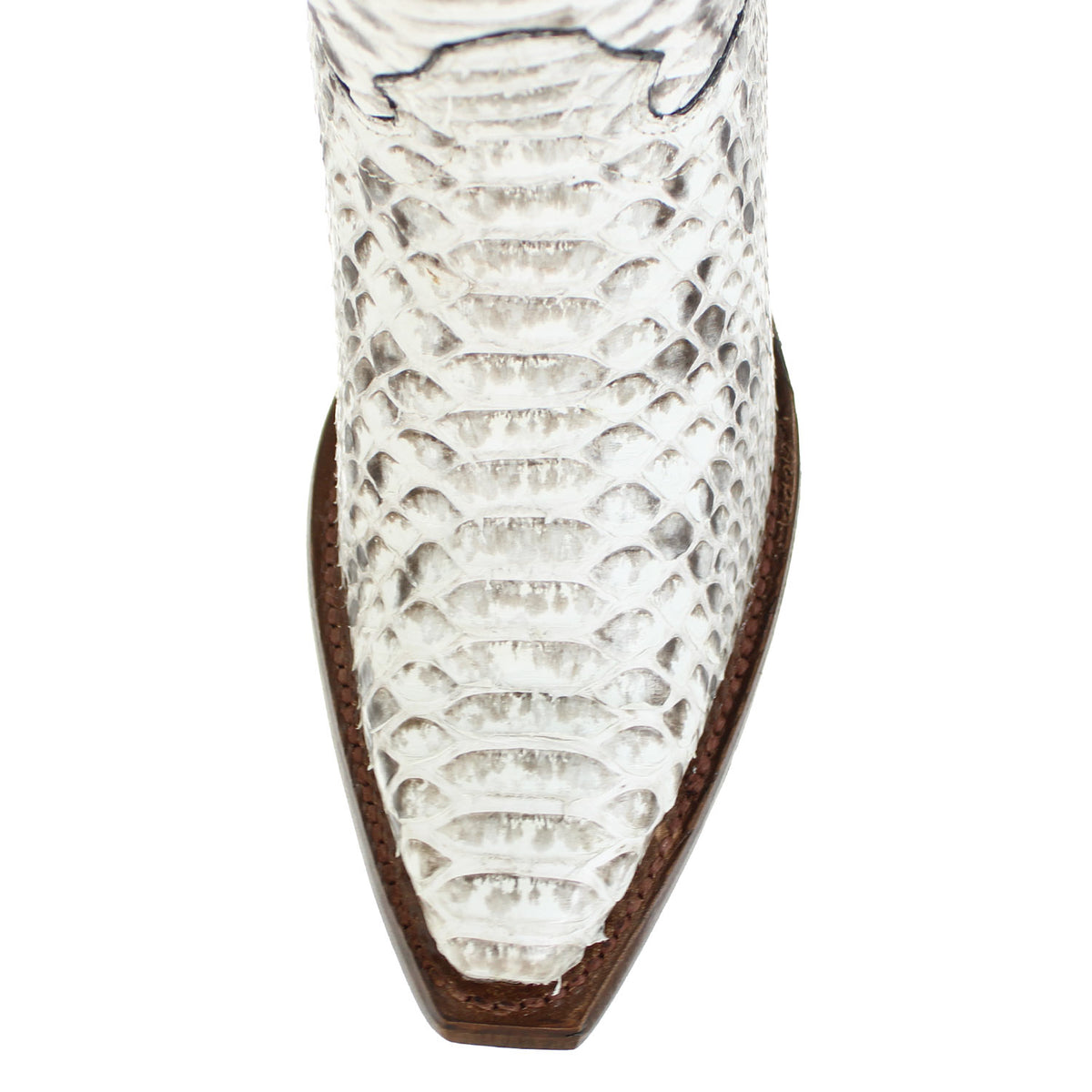 381C5749-NATURAL-PYTHON