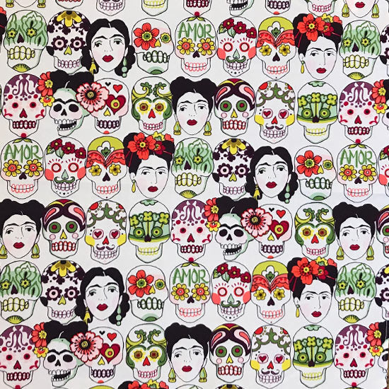 4210 Skulls/Frida - NAT