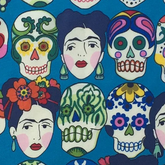 4210 Skulls/Frida