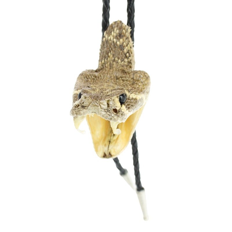 598-BB402-2-HEADS-RATTLESNAKE