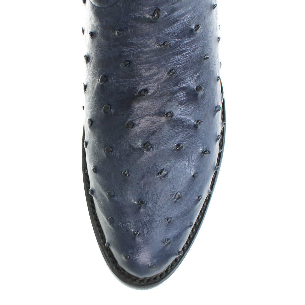 650310-NAVY-BLUE-OST-R-TOE