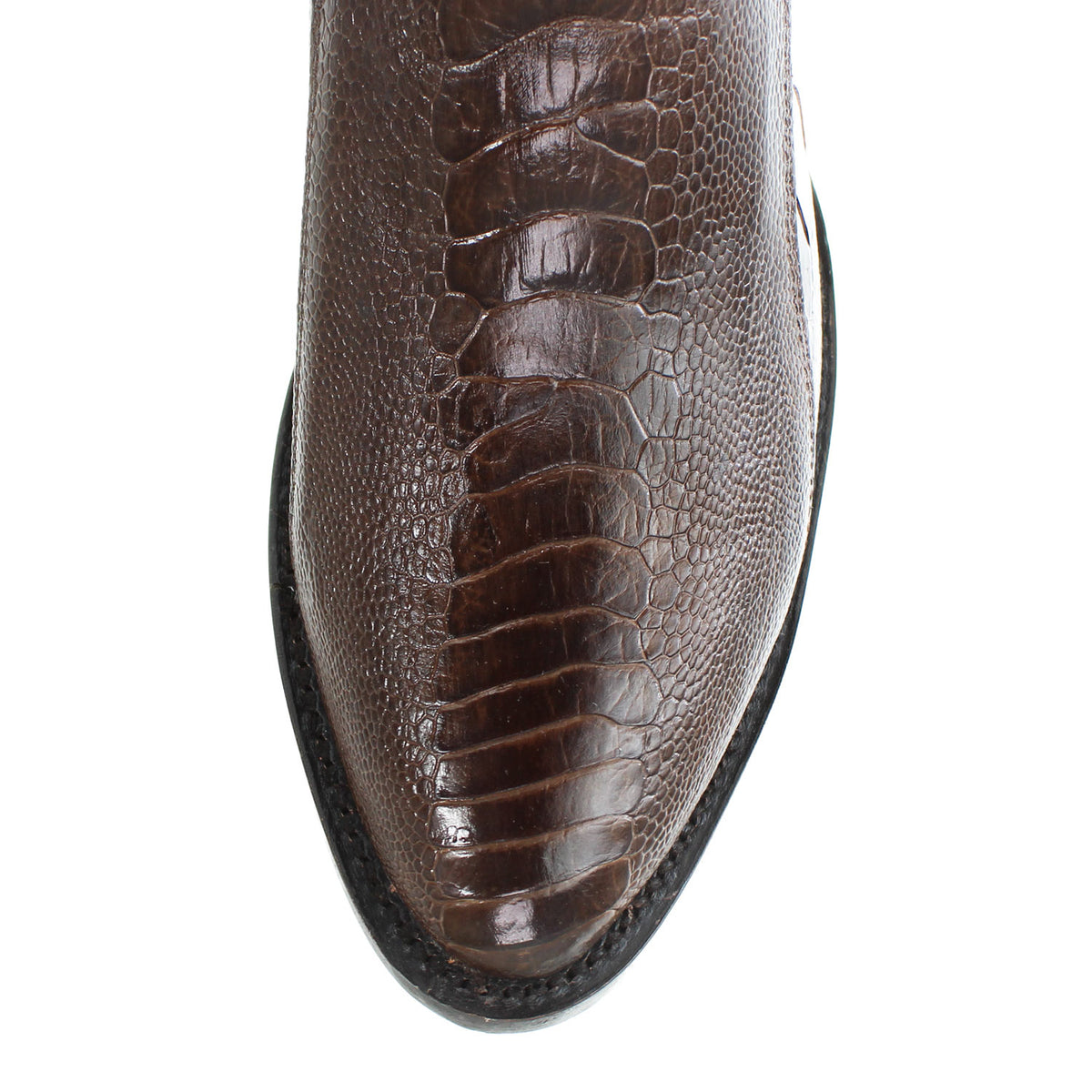 650507-BROWN-OST-LEG