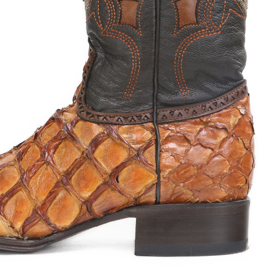 761003-COGNAC-PIRARUCU – Alcala's Western Wear