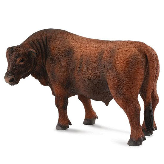 88508 Red Angus Bull