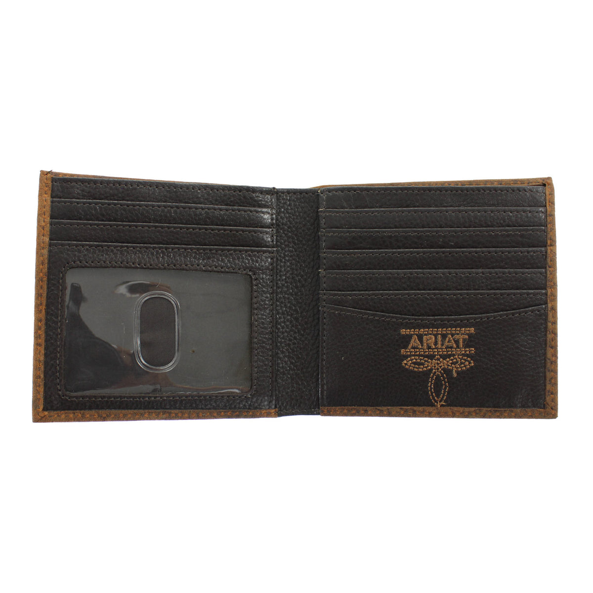 A3556002-BIFLD-BLLDH-ARIAT-BR