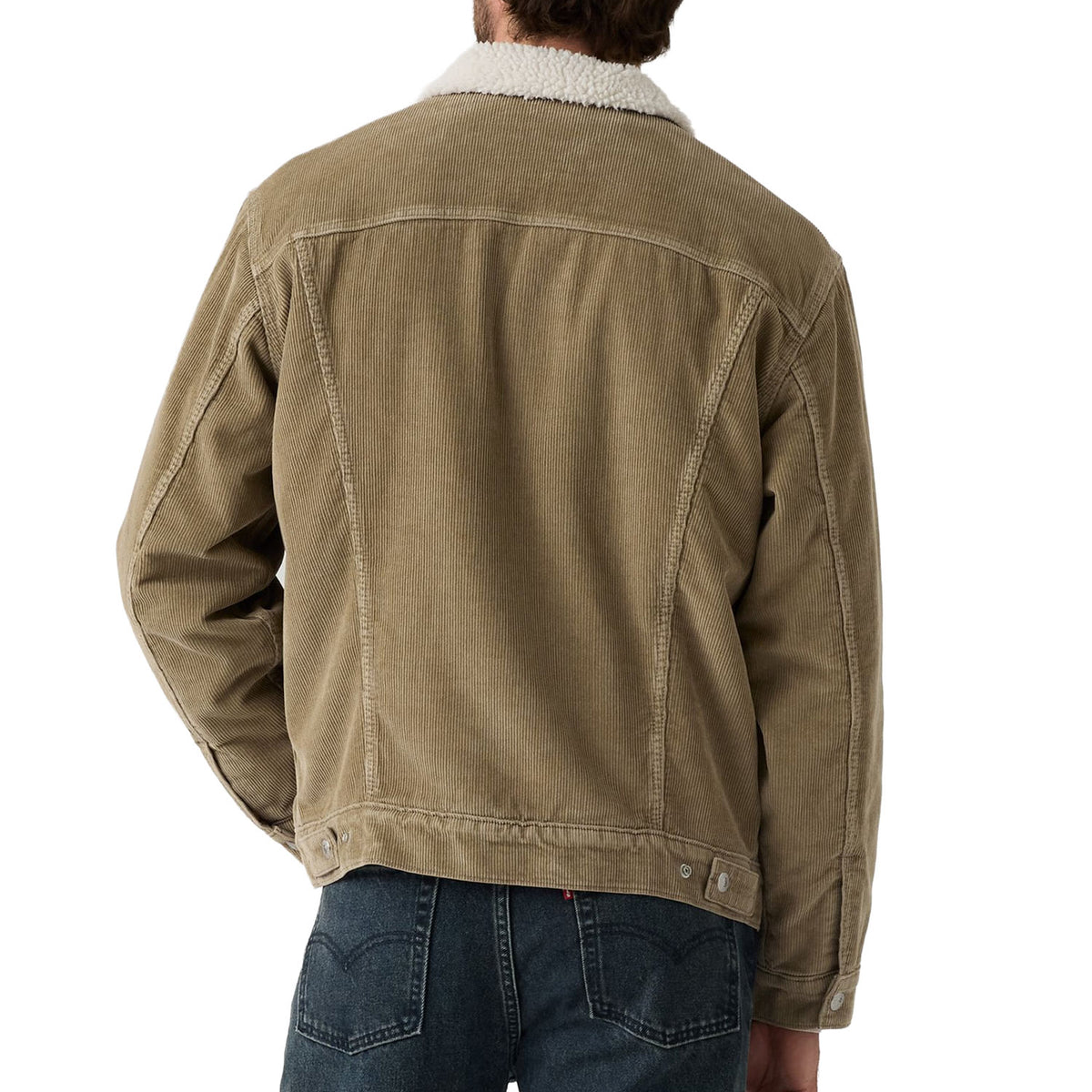 A5784-0022-TIMBER-WOLF-SHERPA