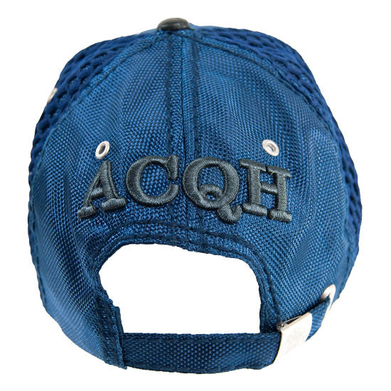 ACQH-BLUE-QTR.HORSE