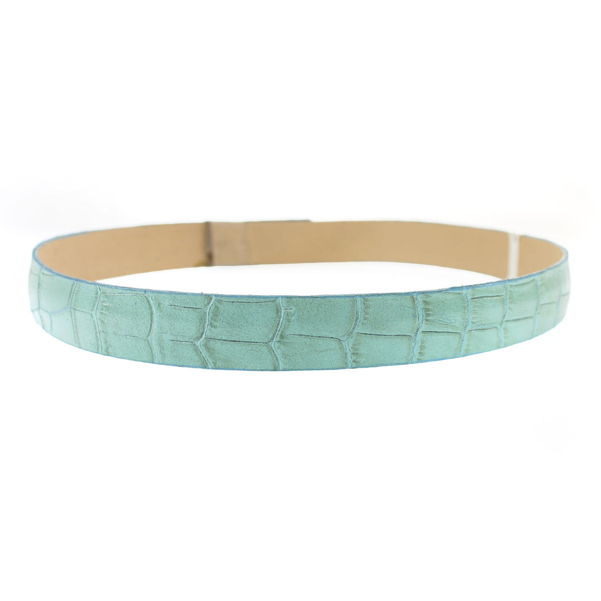ASST--HATBAND-29-99-MBS