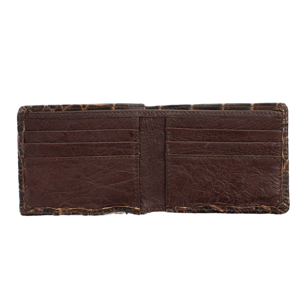 BROWN-ALLIGATOR