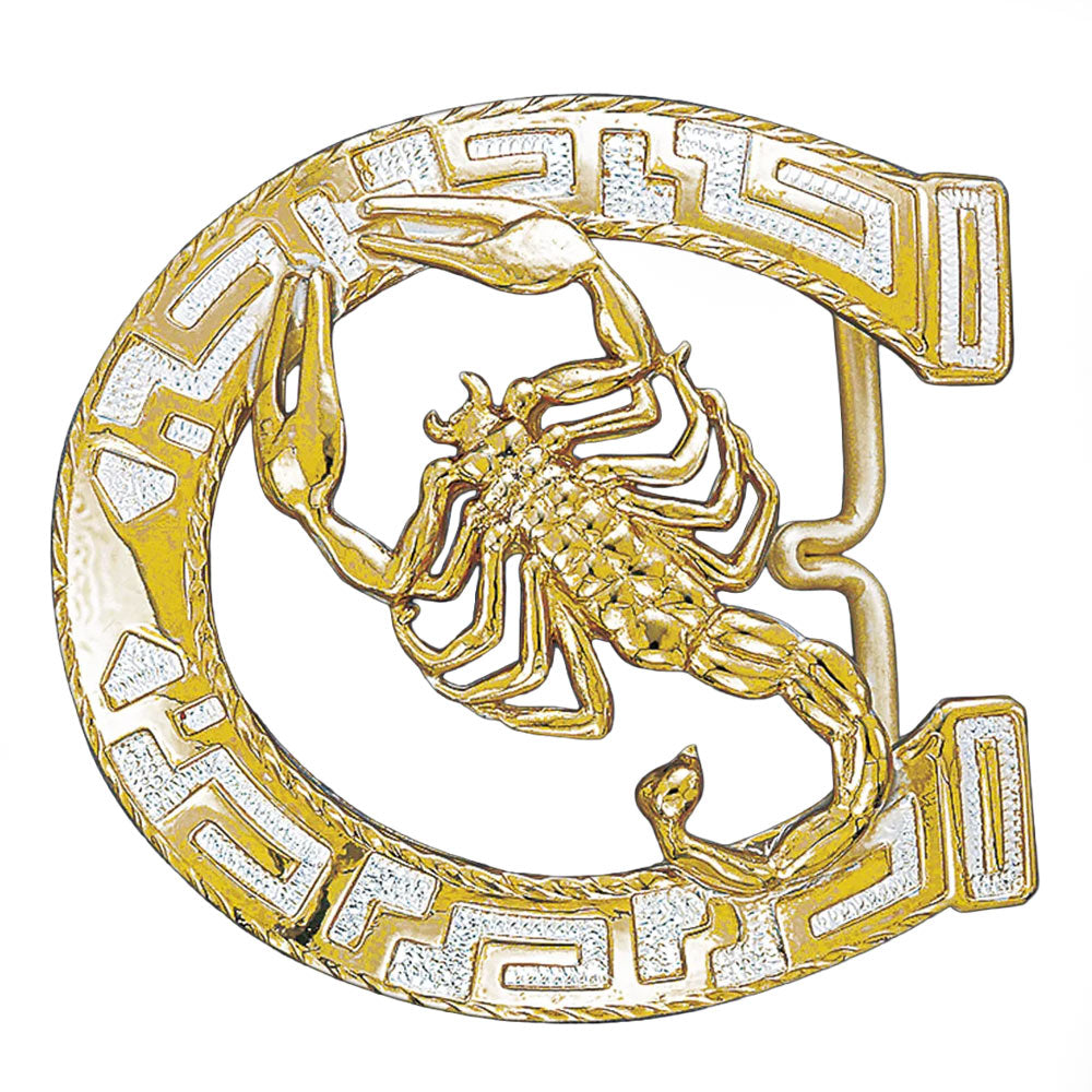 C10881-SCORP-HORSESHOE
