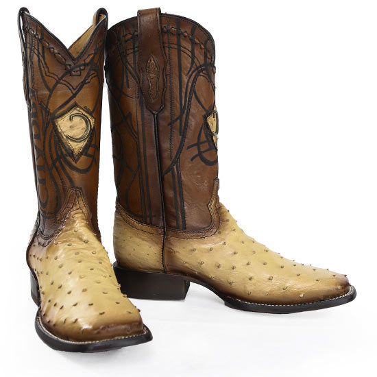 CU468-ORIX-OSTRICH – Alcala's Western Wear