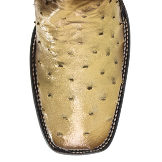 CU468-ORIX-OSTRICH – Alcala's Western Wear
