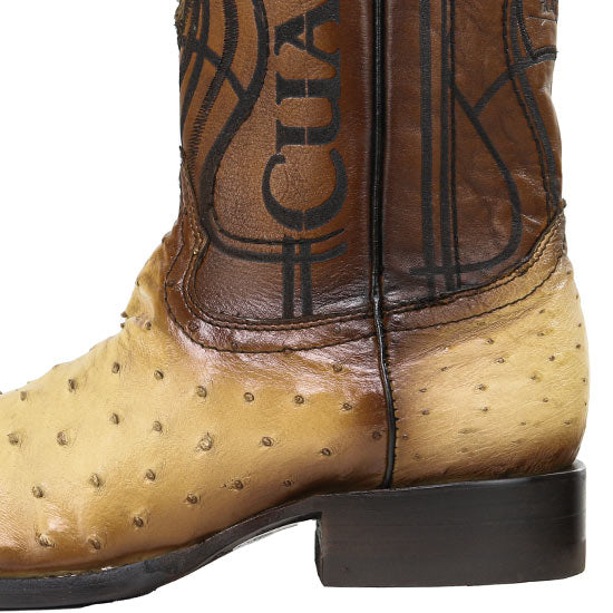 CU468-ORIX-OSTRICH – Alcala's Western Wear