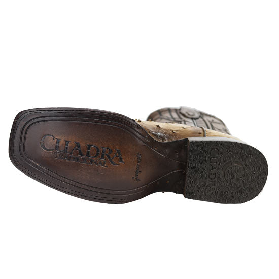 CU468-ORIX-OSTRICH – Alcala's Western Wear