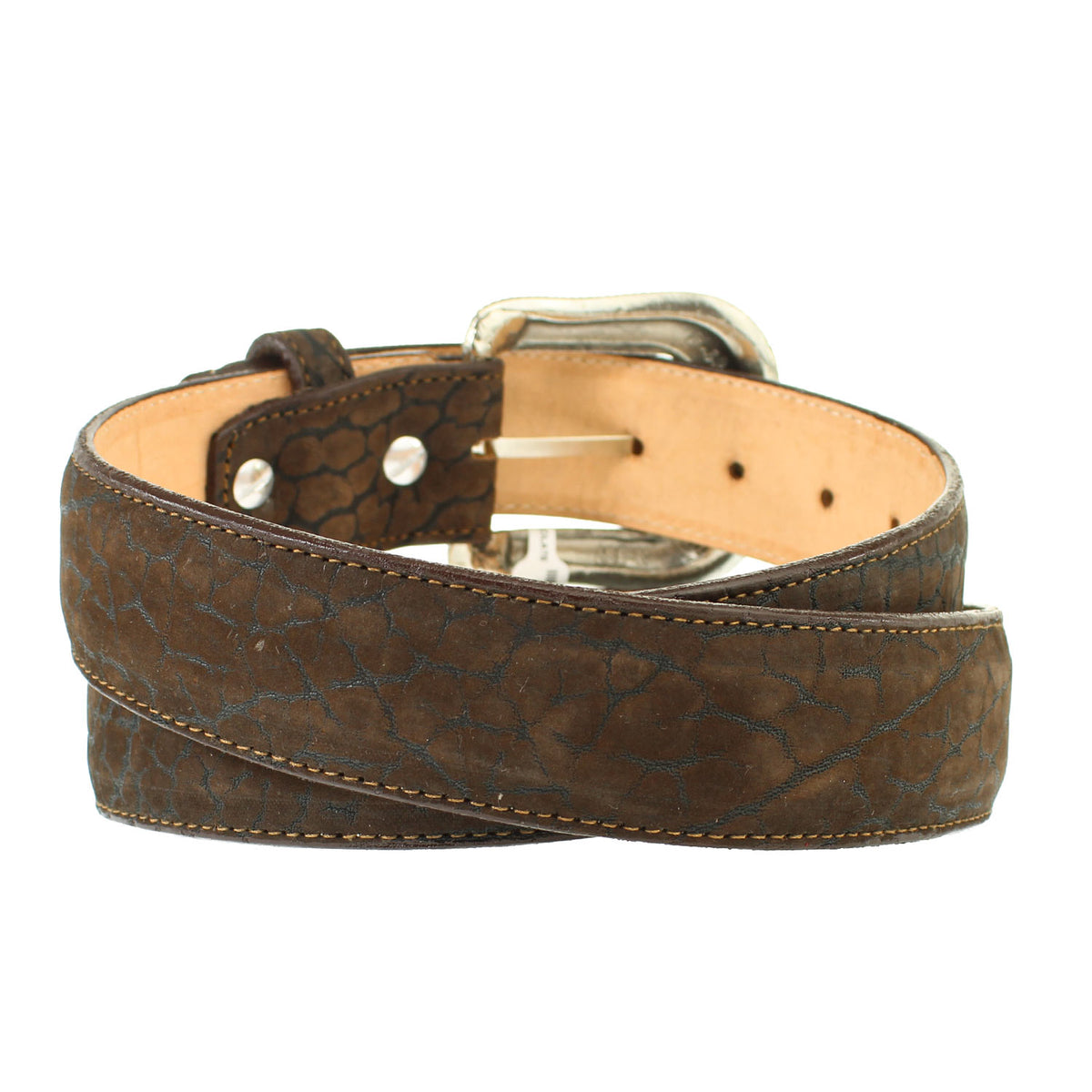 CUELLO-DE-TORO-CHOCOLATE