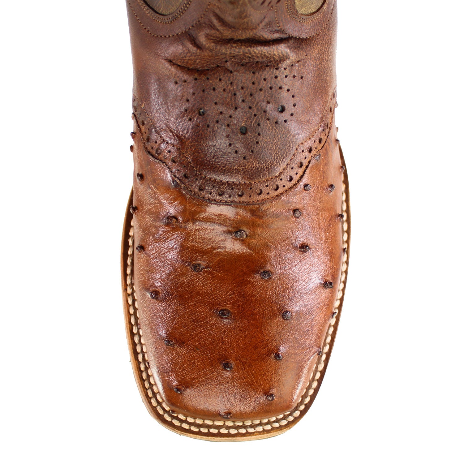 Dp6058 Bay Apache Ostr/Saddle – Alcala's Western Wear