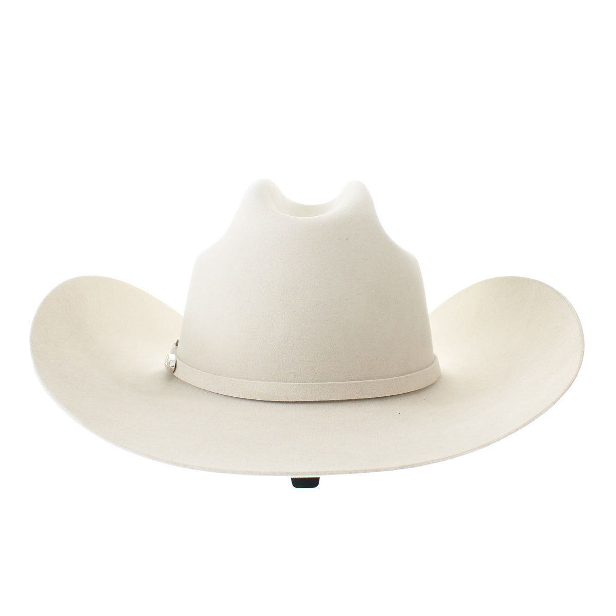 ELAM-484061--EL-AMO-SILVERBLLY