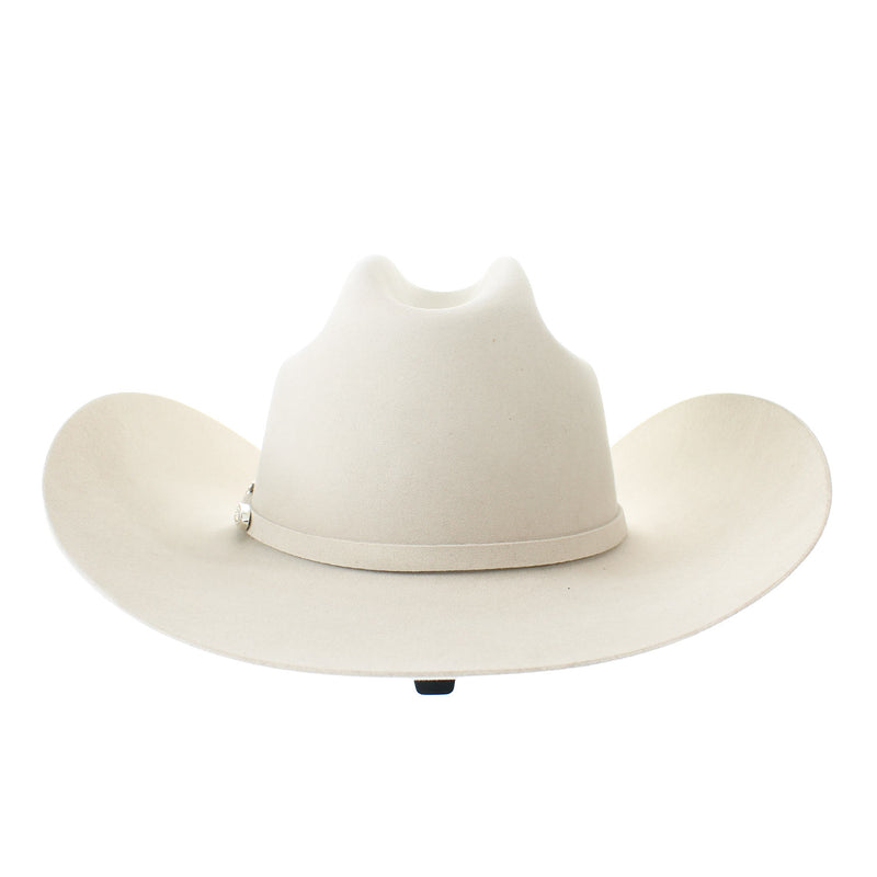 ELAM-484061--EL-AMO-SILVERBLLY