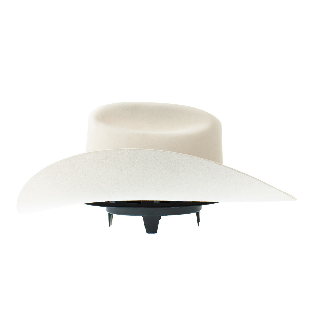 ELAM-484061--EL-AMO-SILVERBLLY
