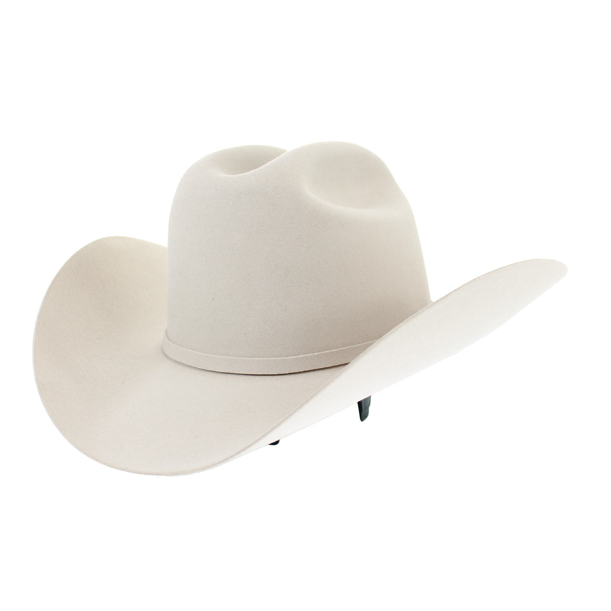 EPTN-484061-PATRON-SILVERBELLY