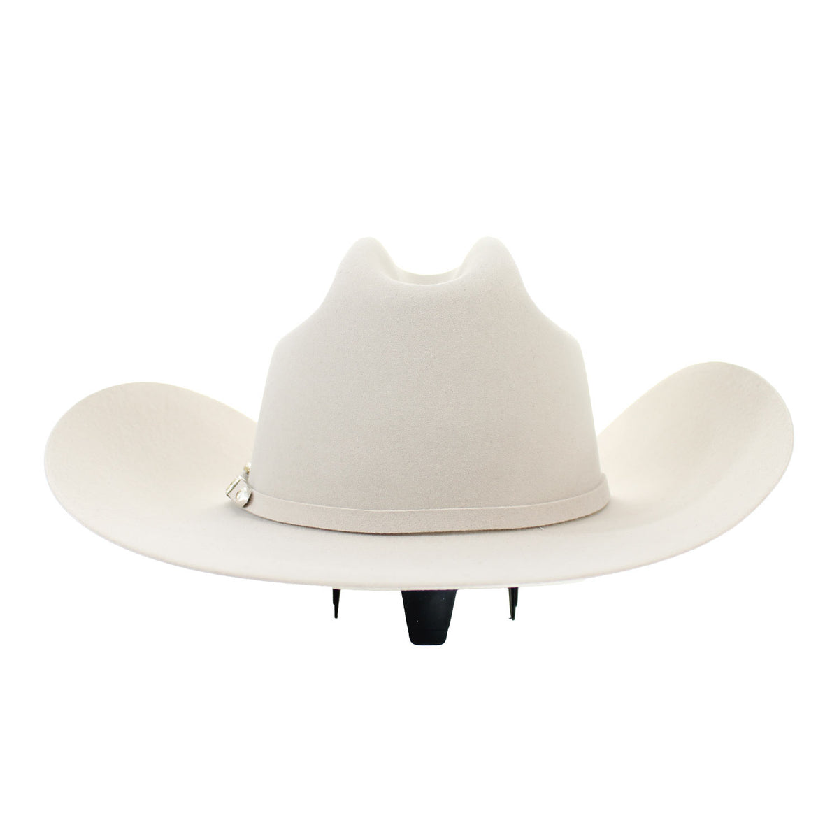 EPTN-484061-PATRON-SILVERBELLY