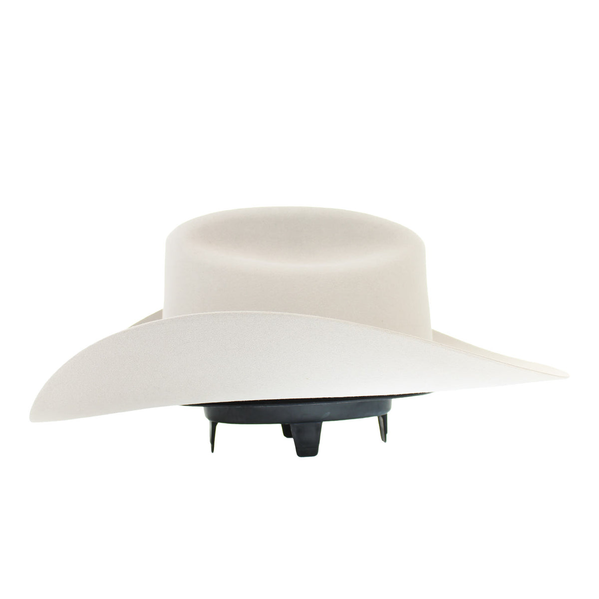 EPTN-484061-PATRON-SILVERBELLY