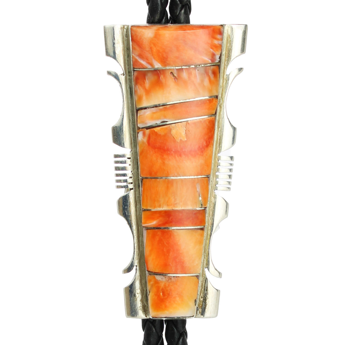 LONG-SPINY-OYSTER-BOLO