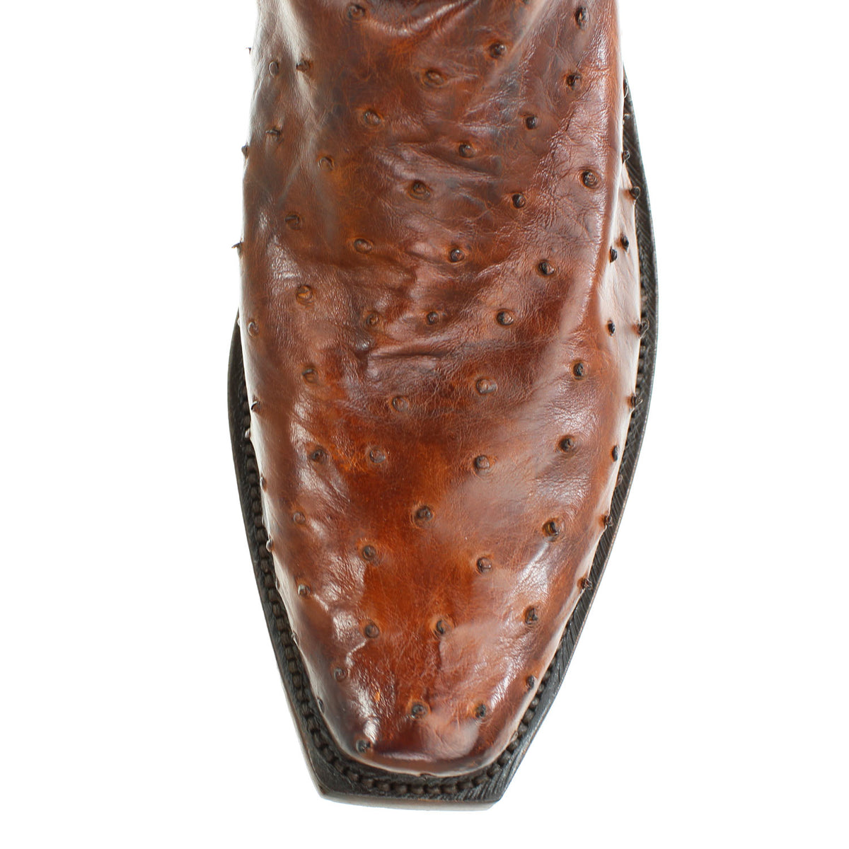 N1187-ANT-CHOCOLATE-OST