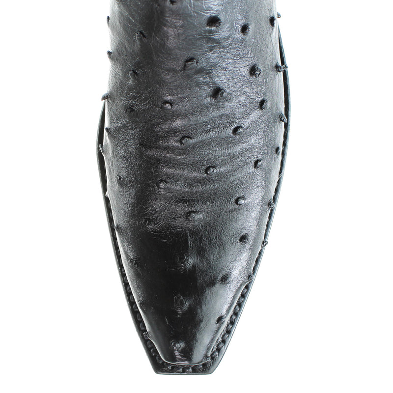 N4091-54-BLACK-DOLLY