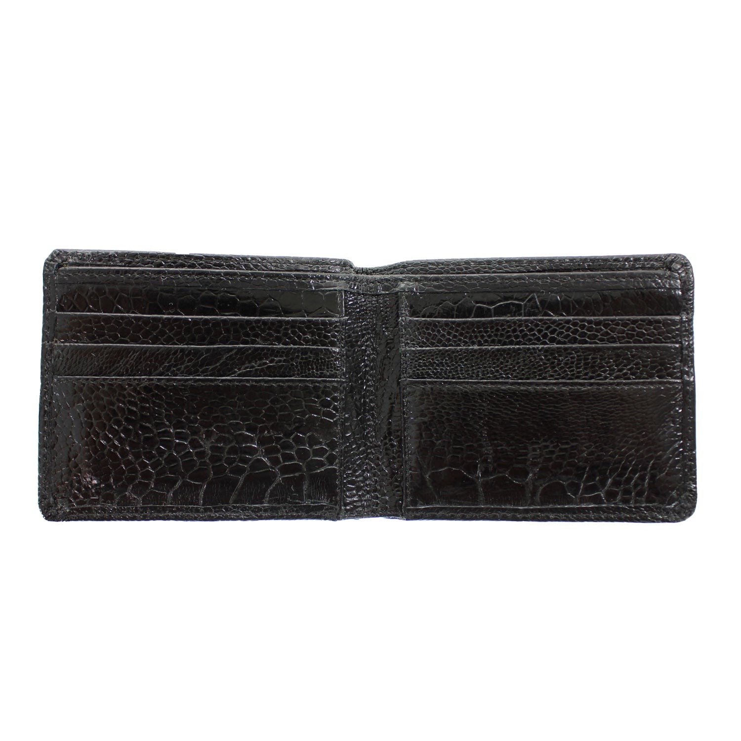 OSTRICH-LEG-BIFOLD – Alcala's Western Wear