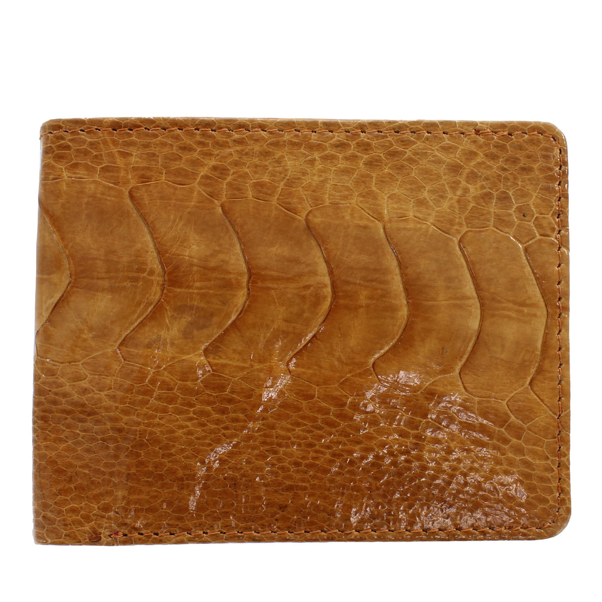 OSTRICH-LEG-BIFOLD