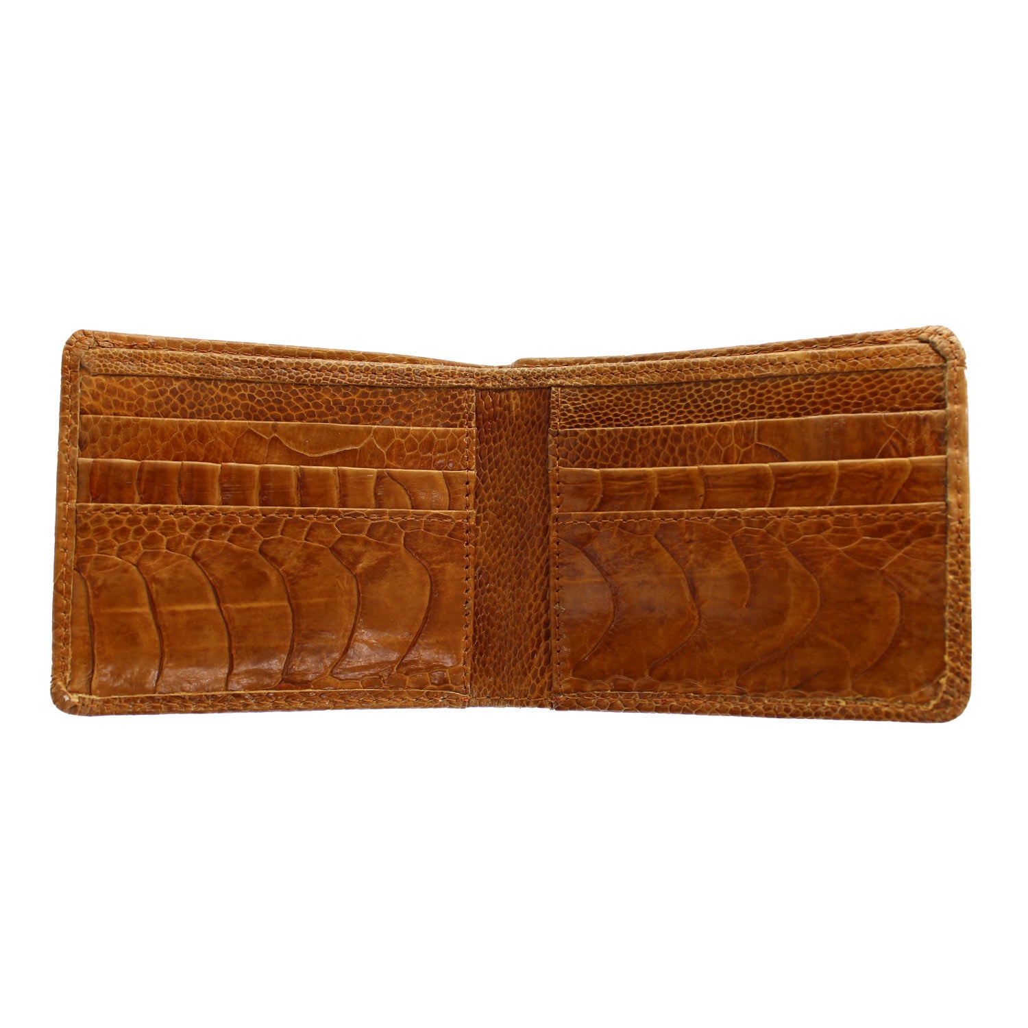OSTRICH-LEG-BIFOLD – Alcala's Western Wear