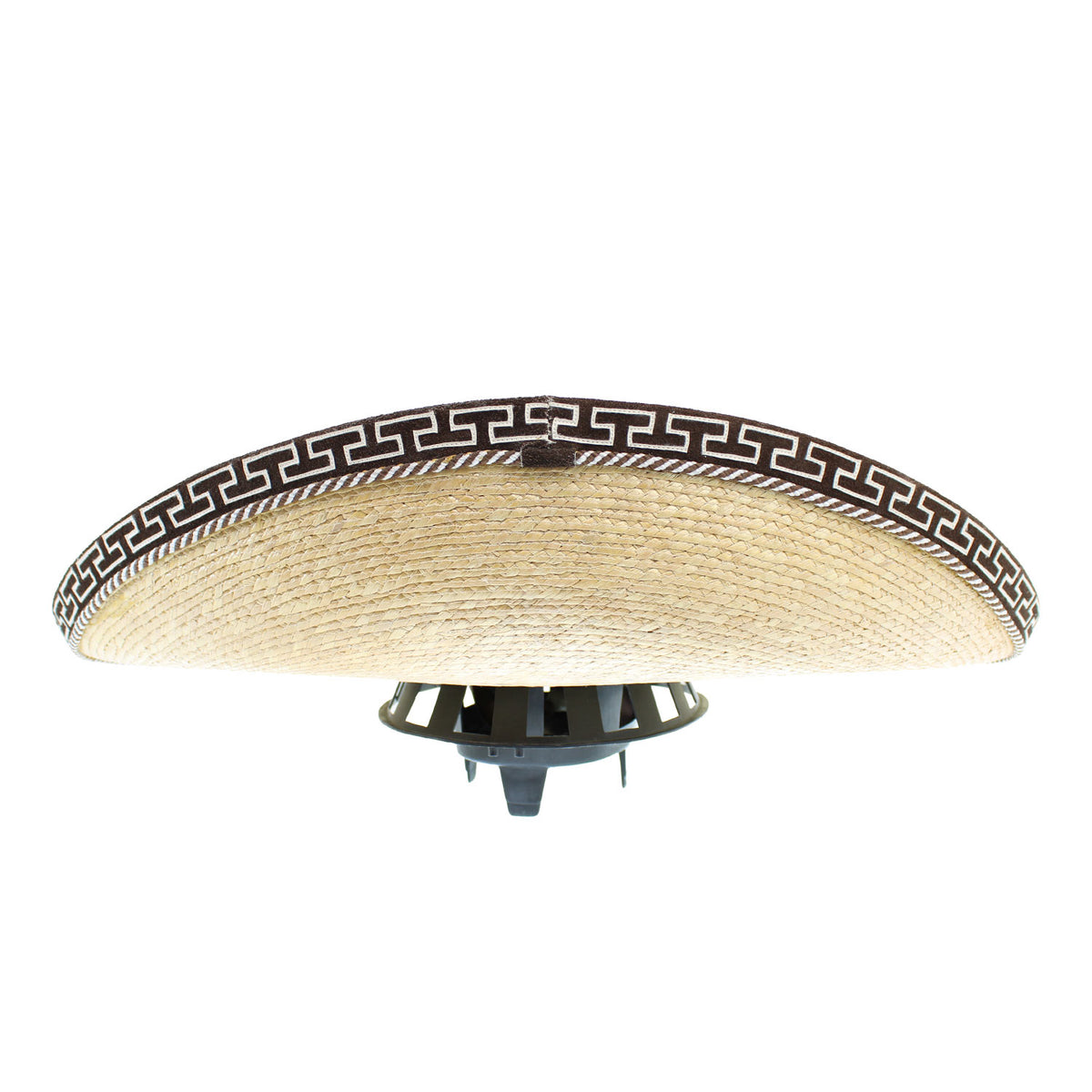 PALM-W-VERSACE-GRECA