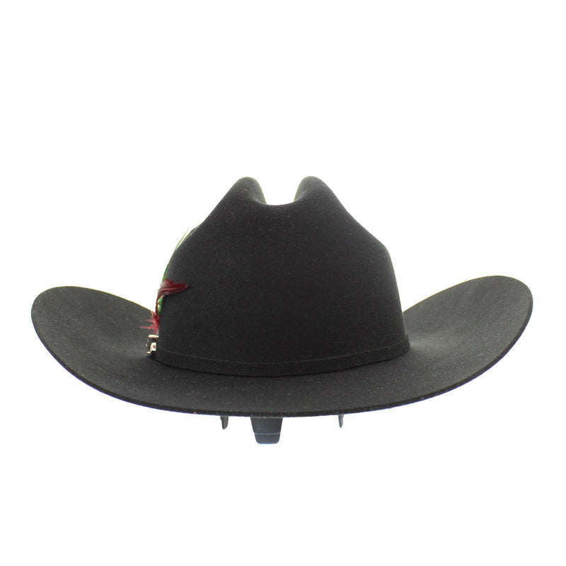 SINALOA-NEGRO